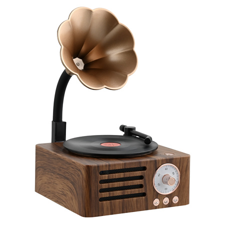 Ukryta Kamera WIFI w gramofon MKLS68