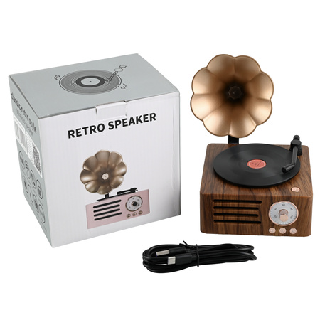 Ukryta Kamera WIFI w gramofon MKLS68
