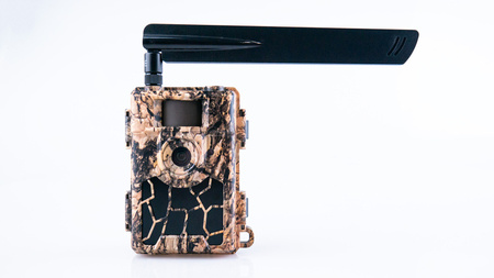 Fotopułapka Kamera leśna GPS SF4.8AES GPS PL Szyfrowanie zdjęć RODO 24 Mpx 4G LTE