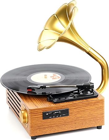 Ukryta Kamera WIFI w gramofon MKLS68