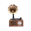 Ukryta Kamera WIFI w gramofon MKLS68