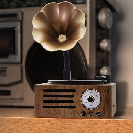 Ukryta Kamera WIFI w gramofon MKLS68