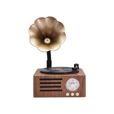 Ukryta Kamera WIFI w gramofon MKLS68