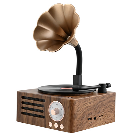 Ukryta Kamera WIFI w gramofon MKLS68