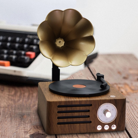 Ukryta Kamera WIFI w gramofon MKLS68